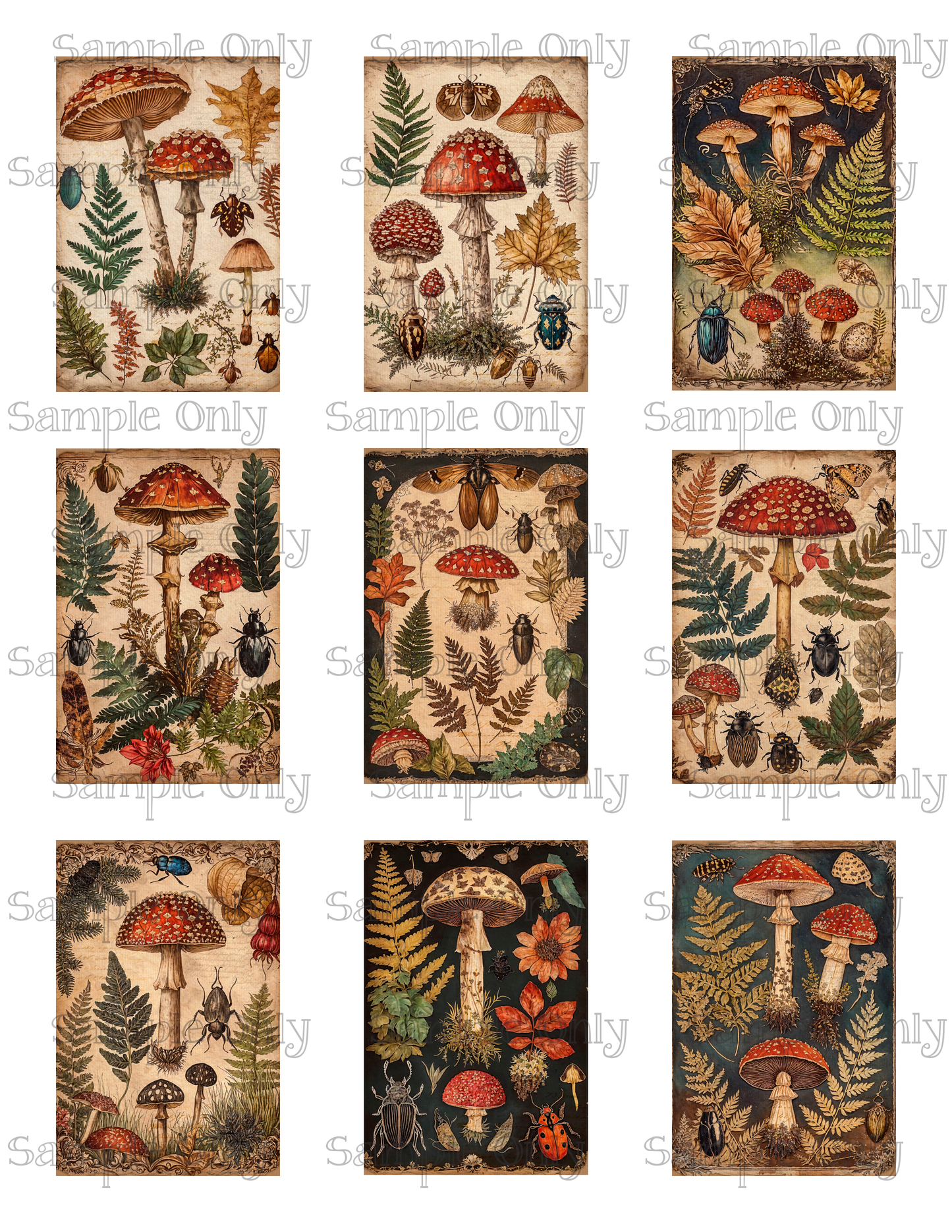 2x3 Inch Wild Mushrooms Water Soluble Image Transfer Sheet For Polymer Clay Transfer Decal PRINTED