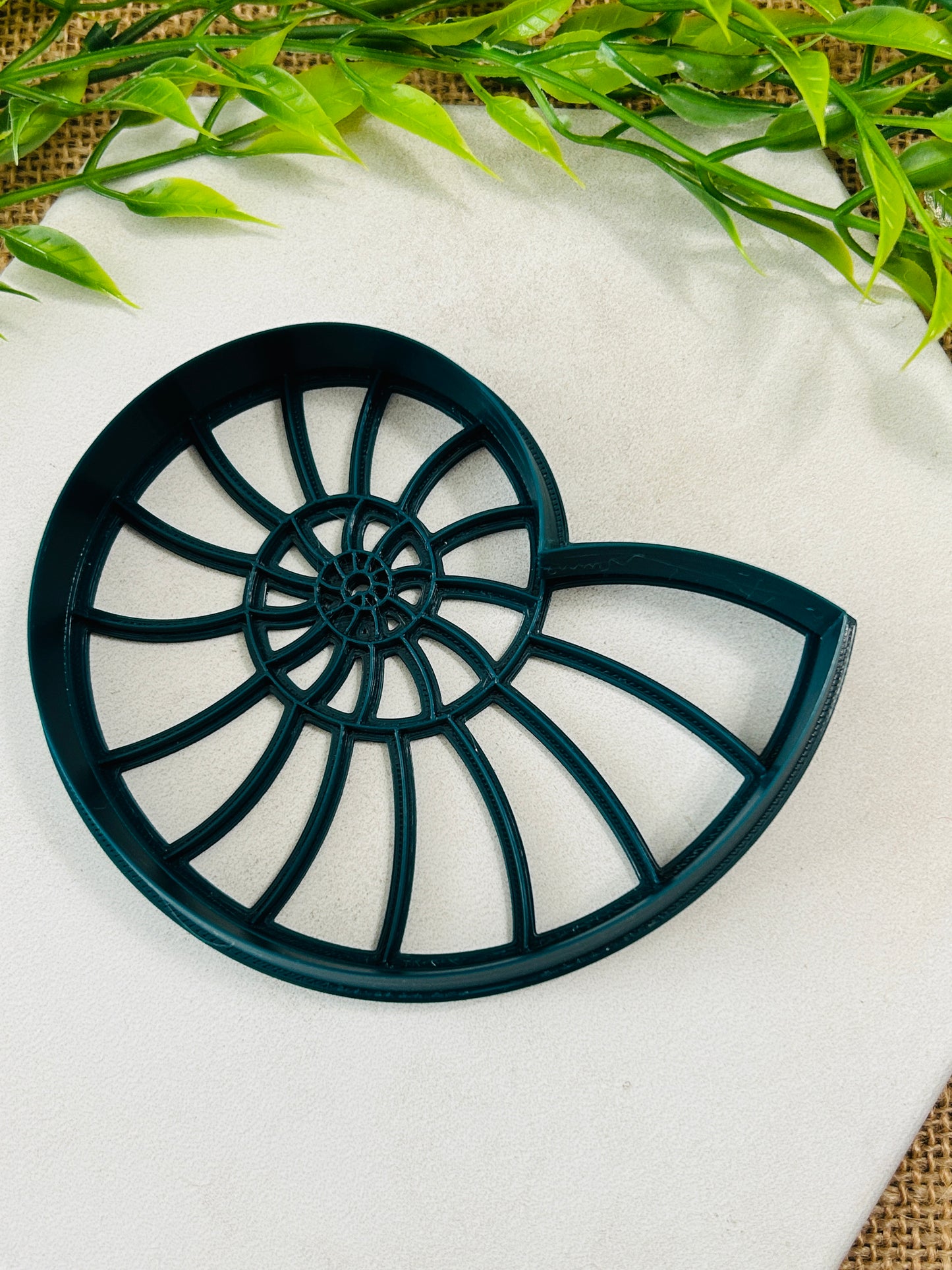 2pc Ammonite Imprint Trinket Dish Coaster Or Wall Hanging Imprinted Polymer Clay Cutter 4 Sizes YOU CHOOSE