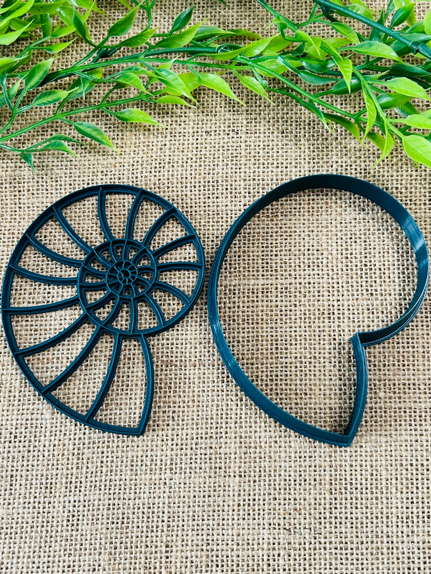 2pc Ammonite Imprint Trinket Dish Coaster Or Wall Hanging Imprinted Polymer Clay Cutter 4 Sizes YOU CHOOSE