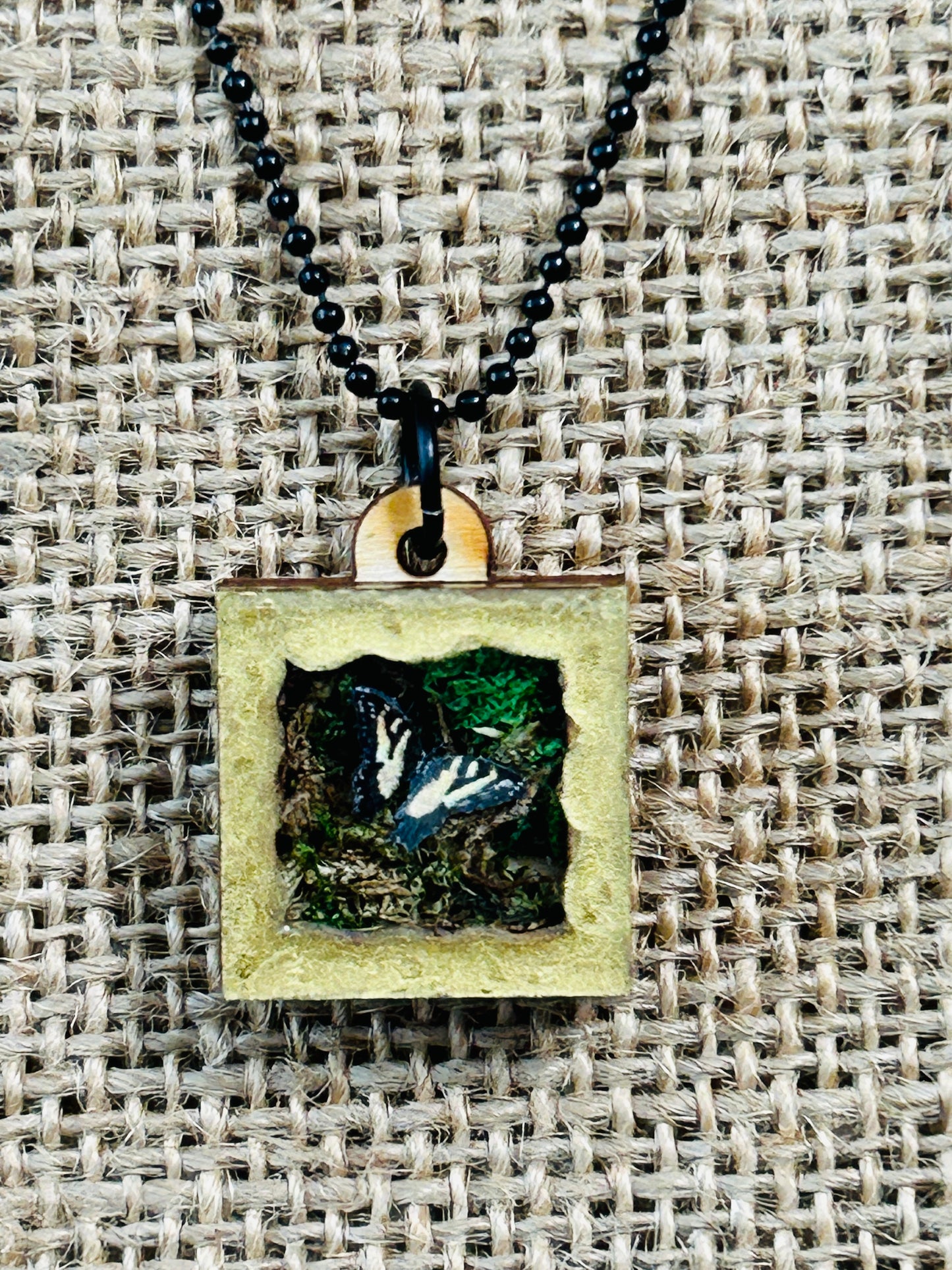 Single Garden Butterfly Shadowbox Specimen Necklace YOU CHOOSE