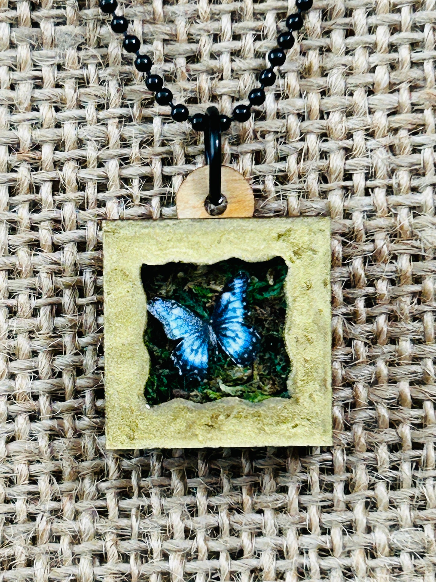 Single Garden Butterfly Shadowbox Specimen Necklace YOU CHOOSE