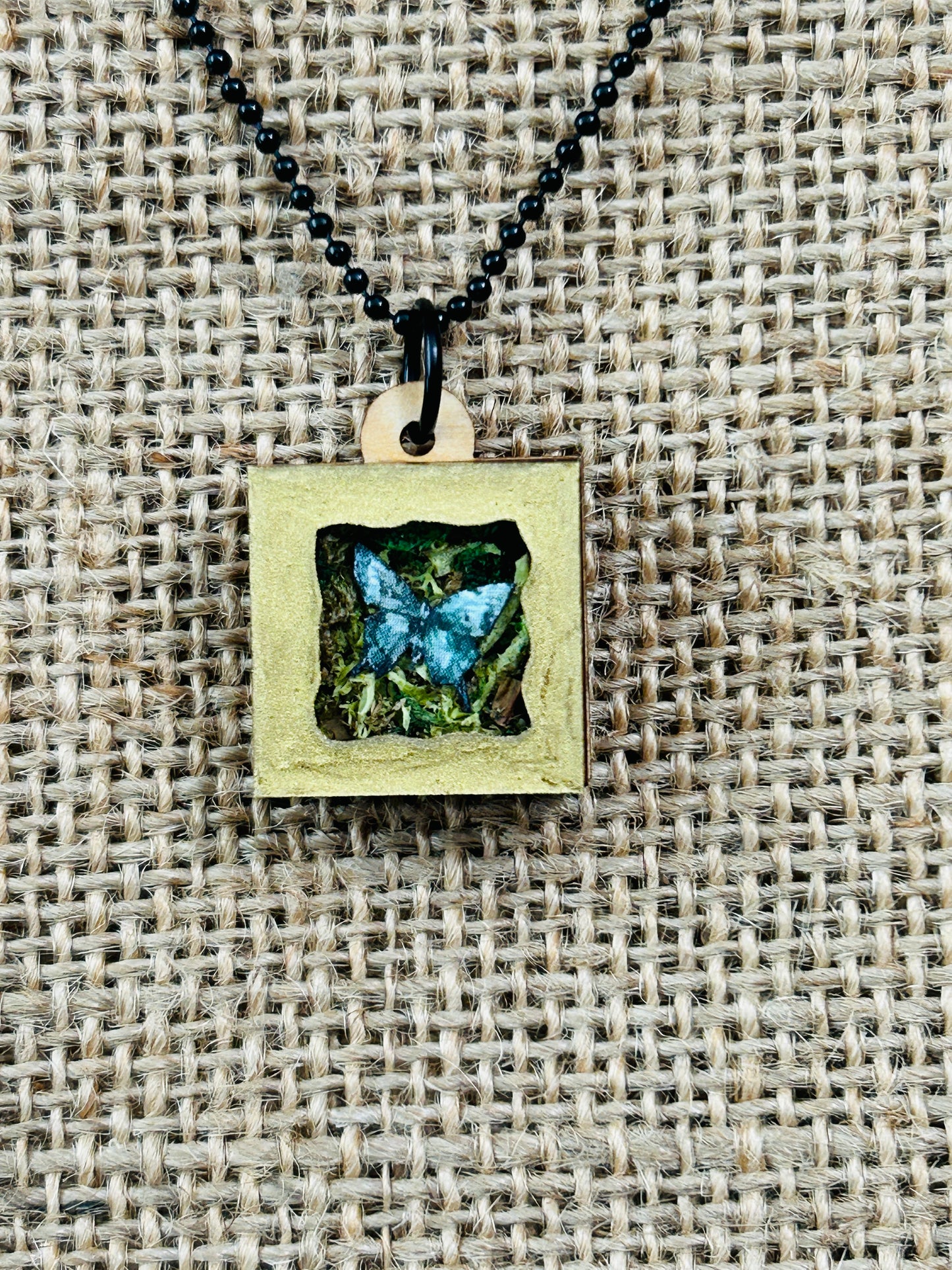 Single Garden Butterfly Shadowbox Specimen Necklace YOU CHOOSE
