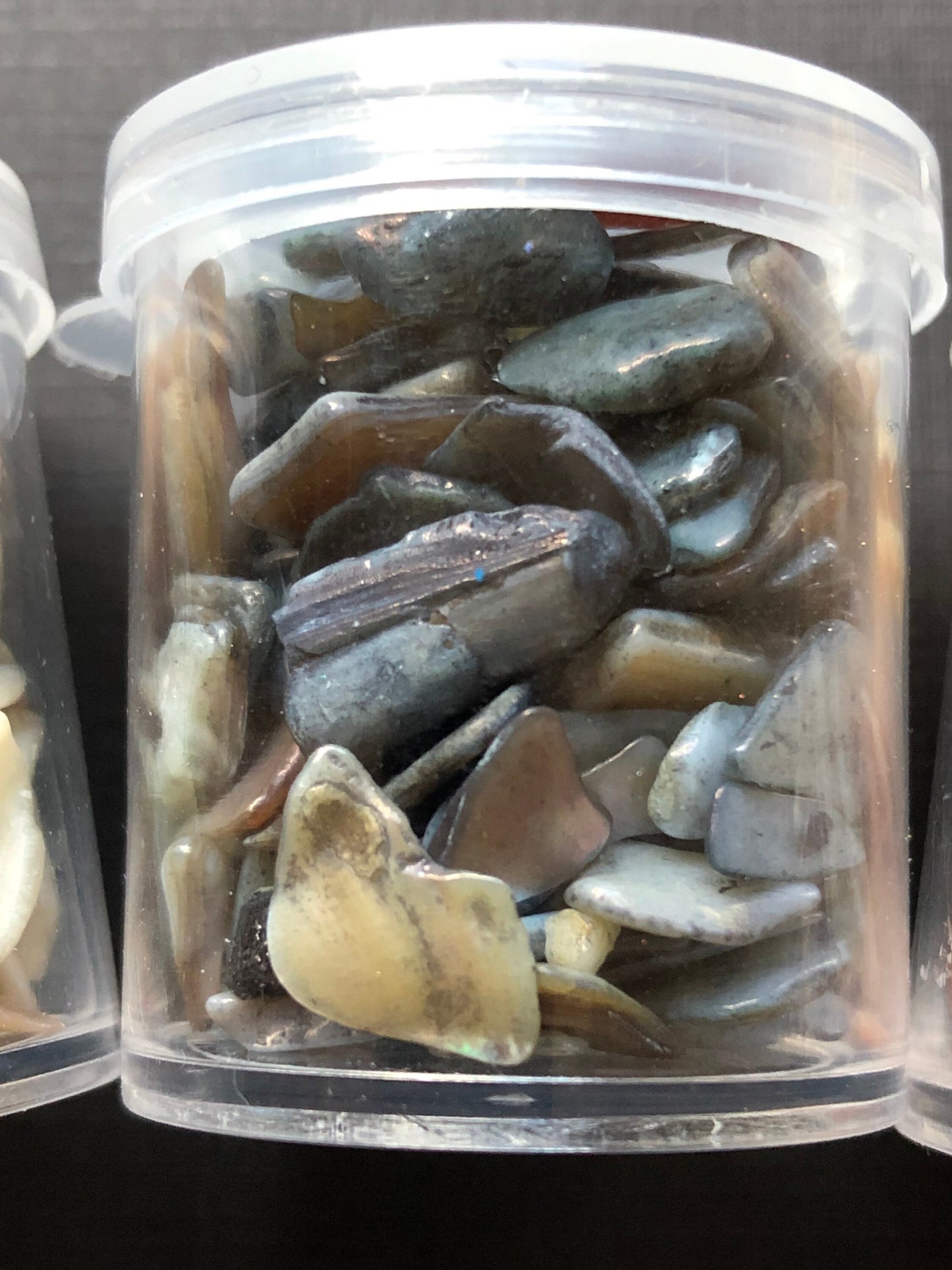 3 Jars Of Assorted Small Neutral Shade Seashells Shell Chips For Resin Clay Crafts