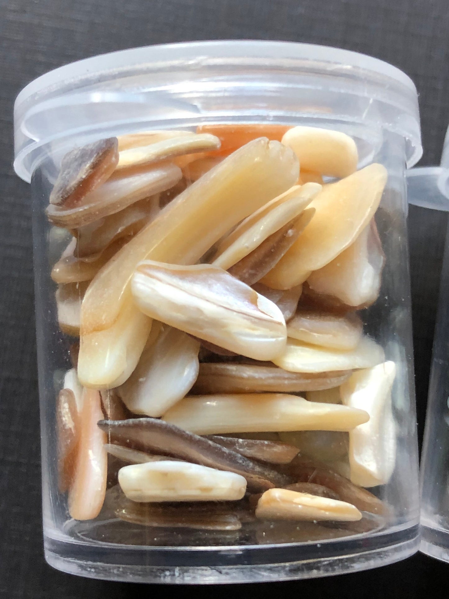 3 Jars Of Assorted Small Neutral Shade Seashells Shell Chips For Resin Clay Crafts