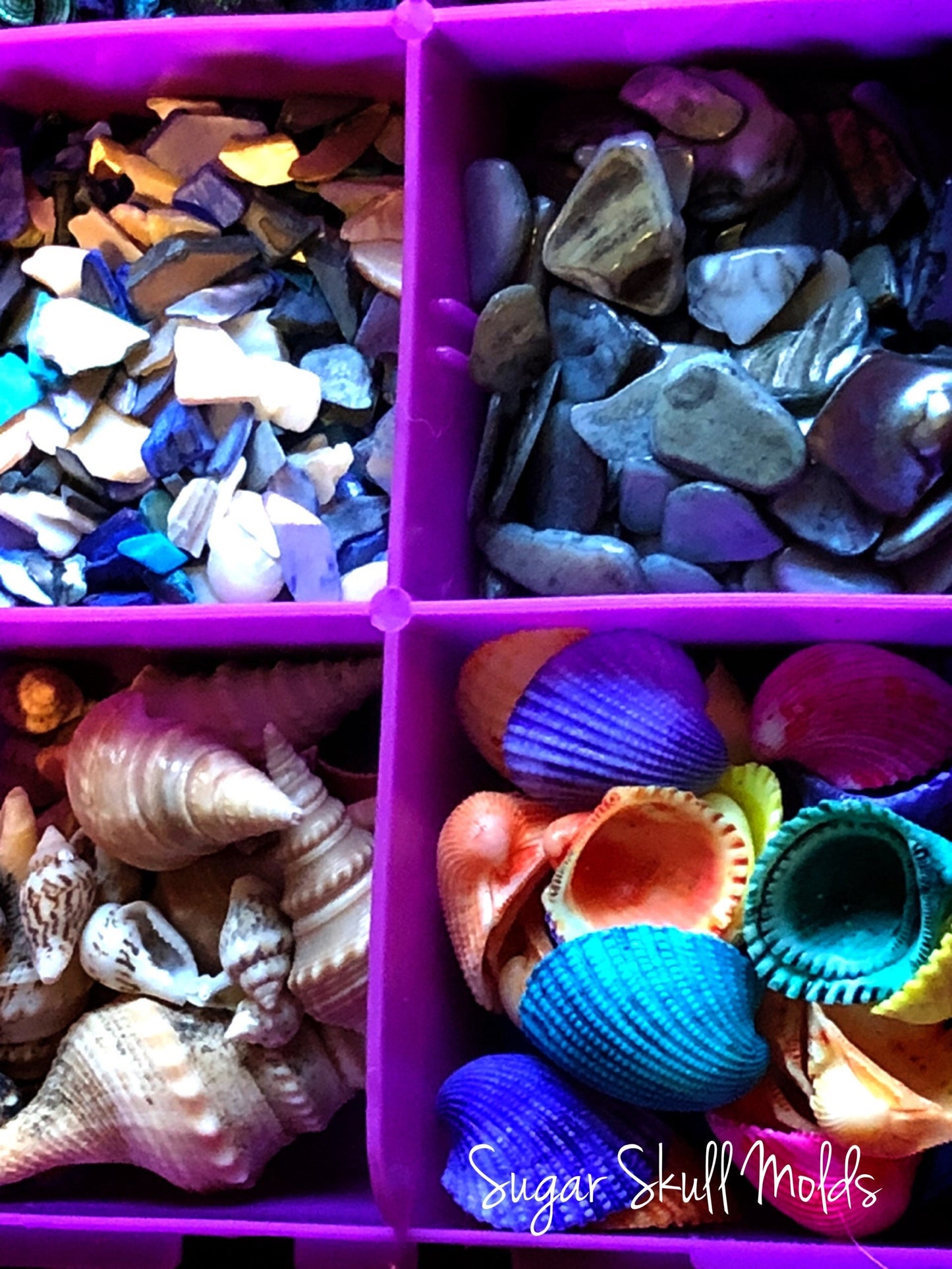 12 Compartment Box Of Dyed and Natural Sea Shells Crushed Shell Chips For Crafts Clay Resin Jewelry