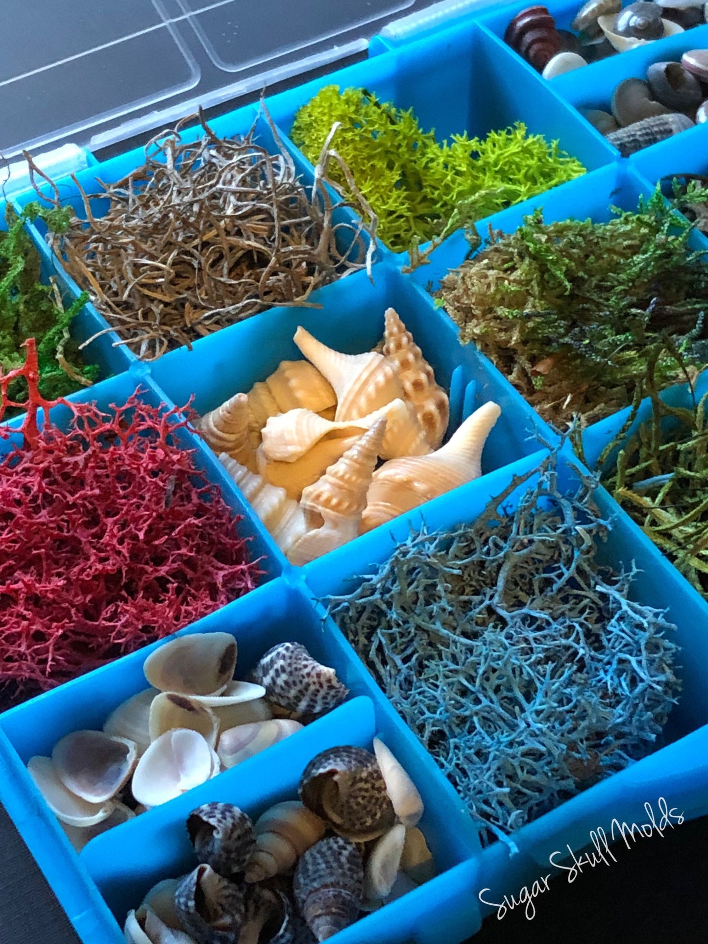 12 Compartment Box Of Under The Sea Shells Moss and Foliage For Crafts Resin Jewelry