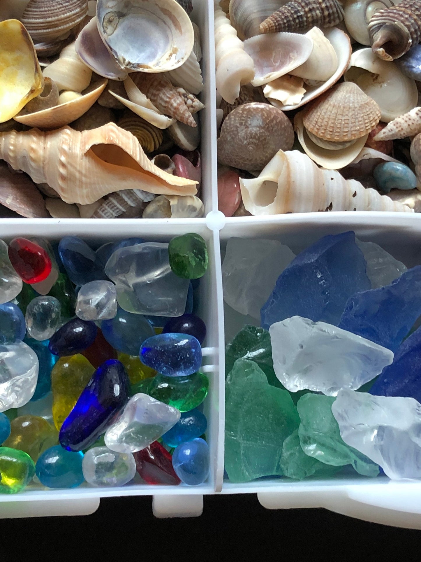12 Compartment Box Of Natural Sea Shells Crushed Shell Chips Tumbled Beach Sea Glass For Crafts Resin Jewelry