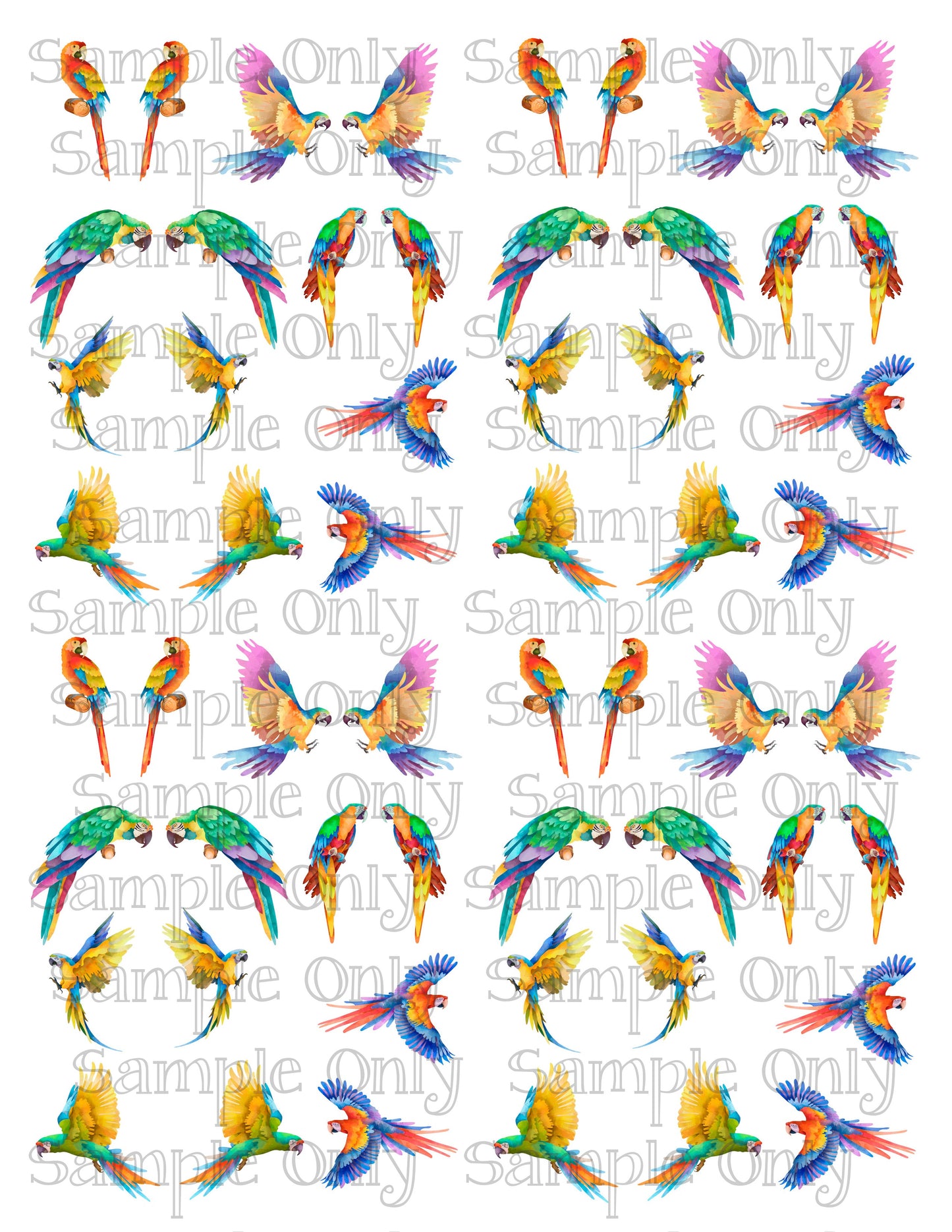 Bright Parrot Birds Printed Water Soluble Image Transfer Sheet For Polymer Clay