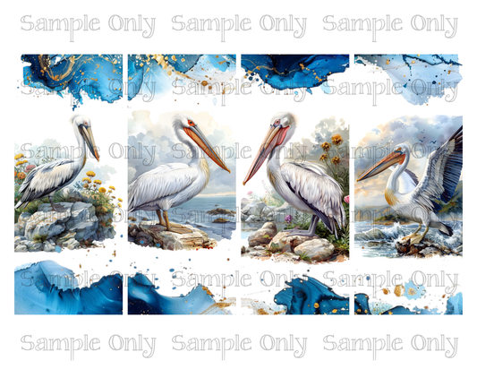 2.5 x 6 Inch Pelican Coastal Bird Image Sheet For Polymer Clay Transfer Decal DIGITAL FILE OR PRINTED