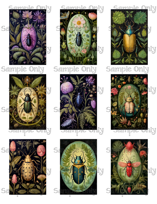 2x3 Inch Botanical Beetles Image Sheet For Polymer Clay Transfer Decal DIGITAL FILE OR PRINTED