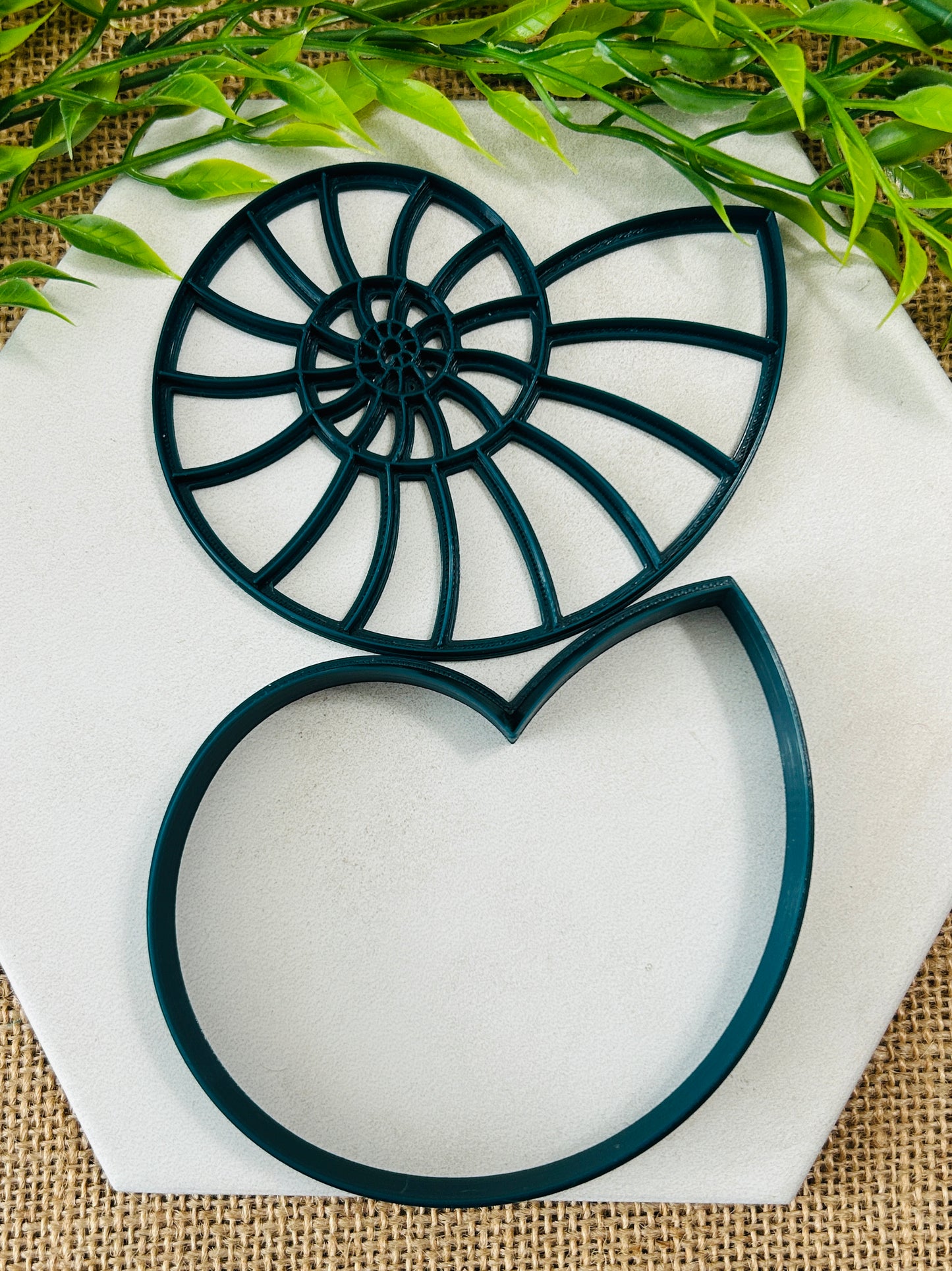2pc Ammonite Imprint Trinket Dish Coaster Or Wall Hanging Imprinted Polymer Clay Cutter 4 Sizes YOU CHOOSE