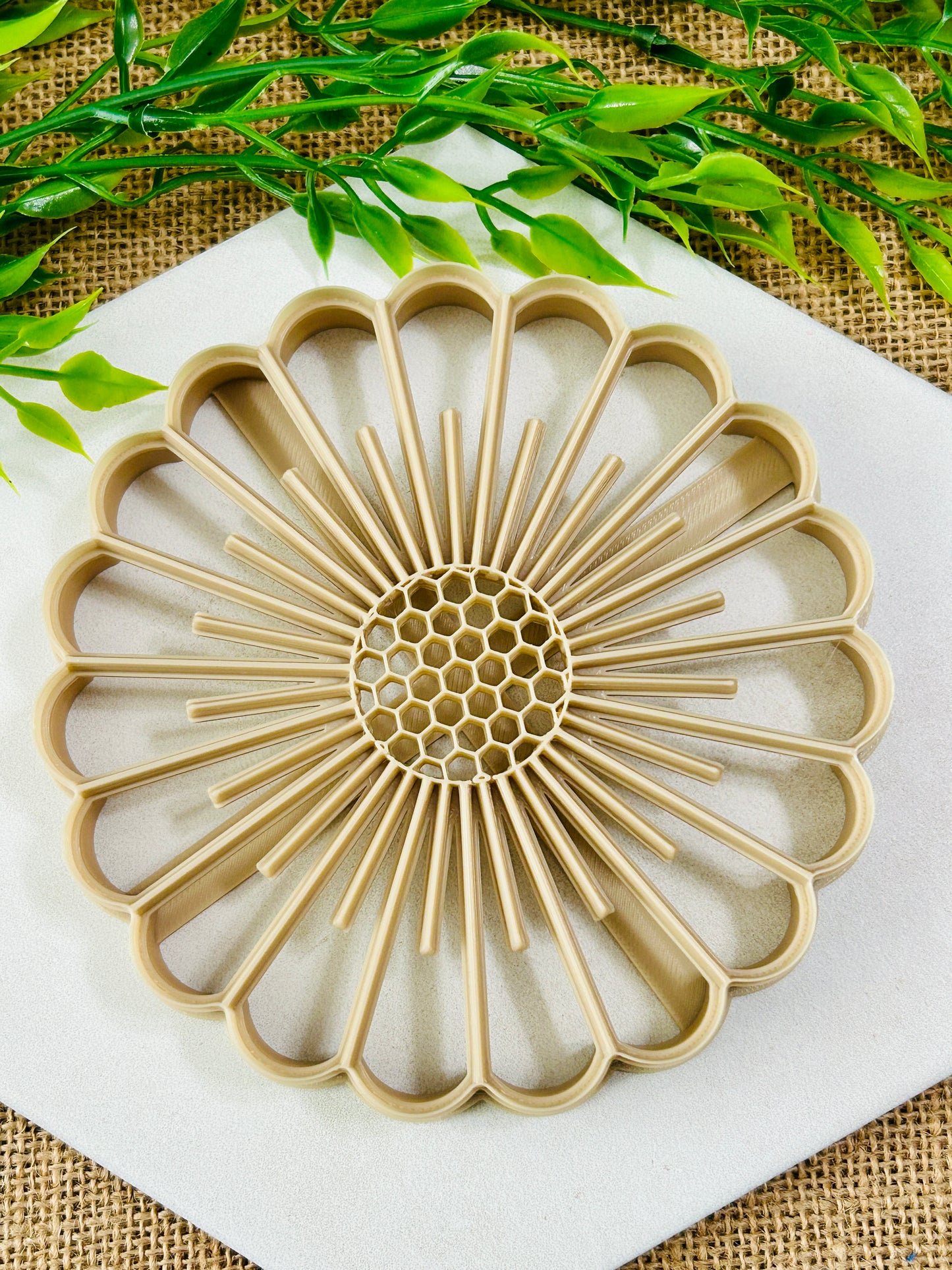 2pc Daisy Flower Imprint Trinket Dish Coaster Or Wall Hanging Imprinted Polymer Clay Cutter 6 Sizes YOU CHOOSE