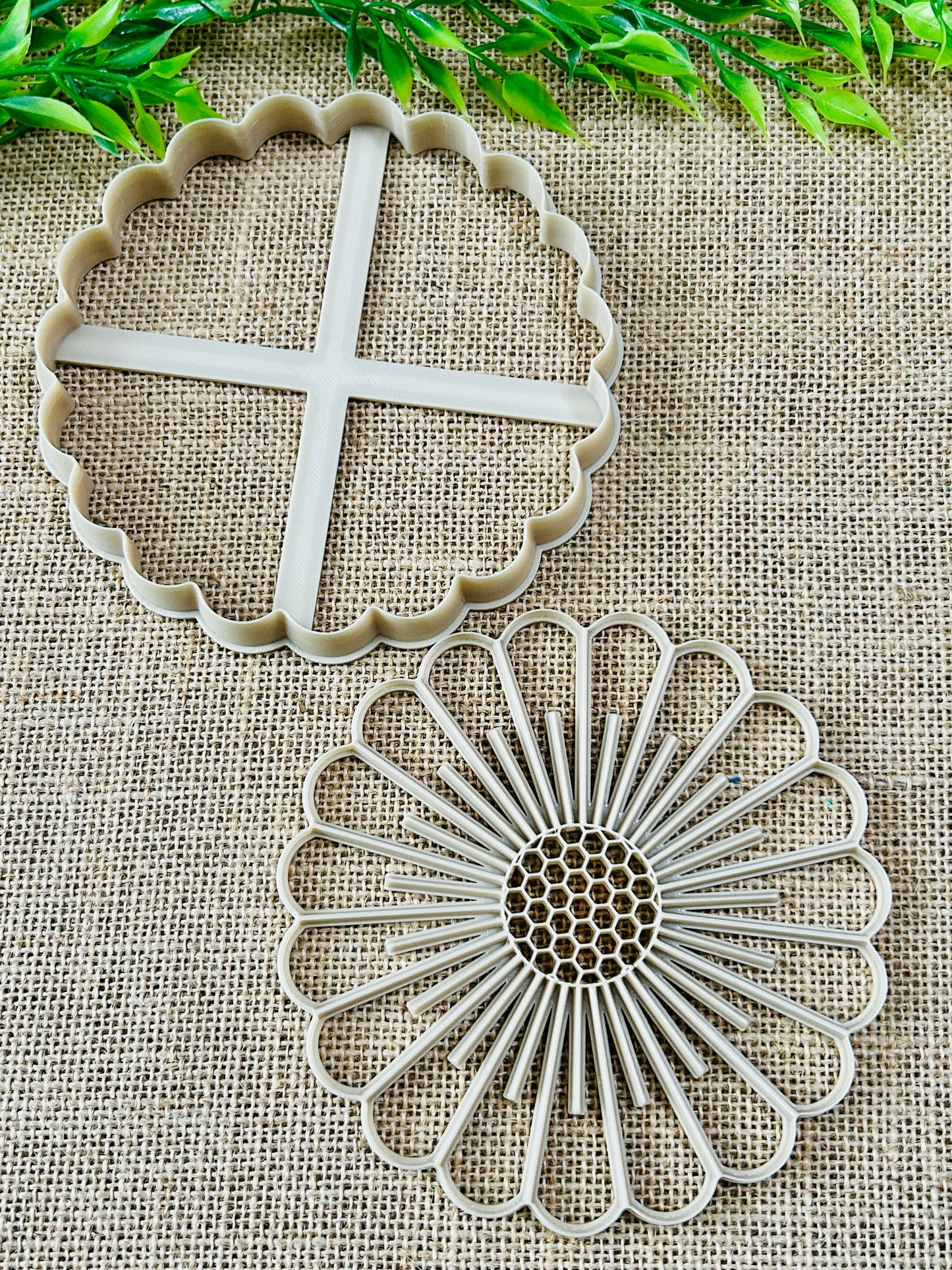 2pc Daisy Flower Imprint Trinket Dish Coaster Or Wall Hanging Imprinted Polymer Clay Cutter 6 Sizes YOU CHOOSE