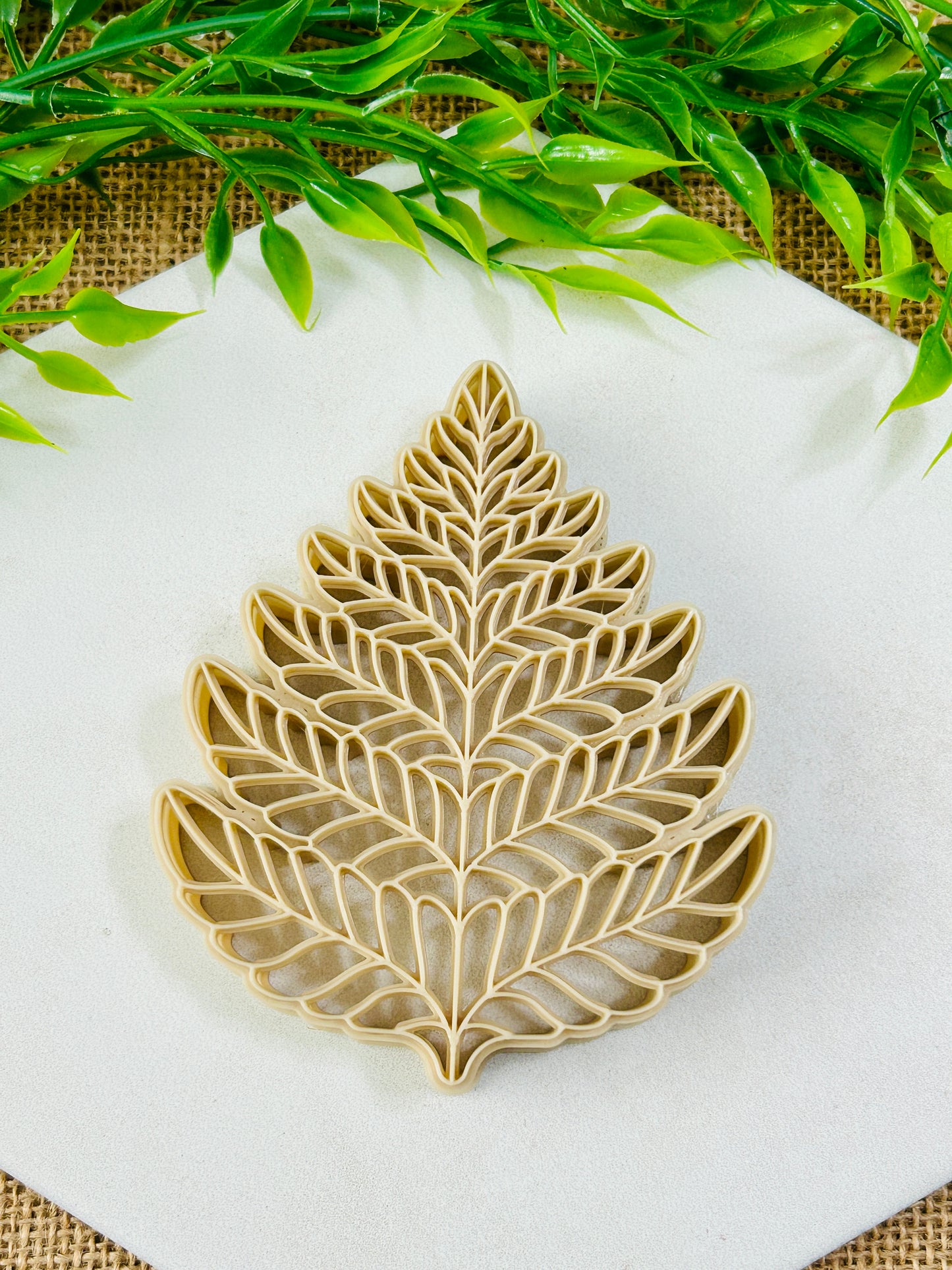 2pc Fern Leaf Imprint Trinket Dish Coaster Or Wall Hanging Imprinted Polymer Clay Cutter 5 Sizes YOU CHOOSE