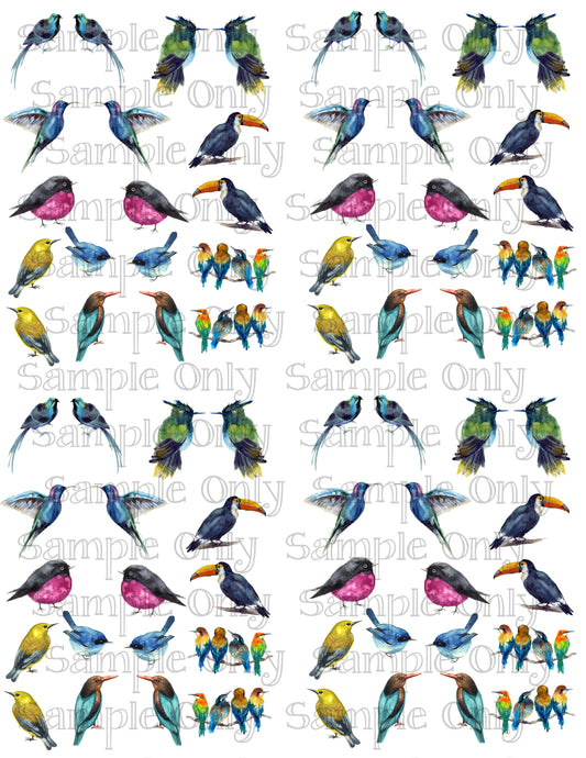 1 & 1/8 Inch Wild Watercolor Birds Image Transfer Sheet For Polymer Clay