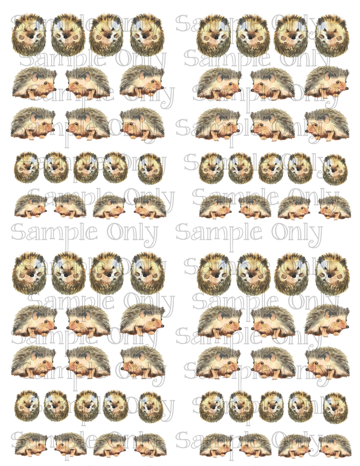 0.75 - 1 Inch Watercolor Hedgehogs Hedgie Image Transfer Sheet For Polymer Clay