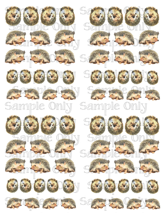 0.75 - 1 Inch Watercolor Hedgehogs Hedgie Image Transfer Sheet For Polymer Clay
