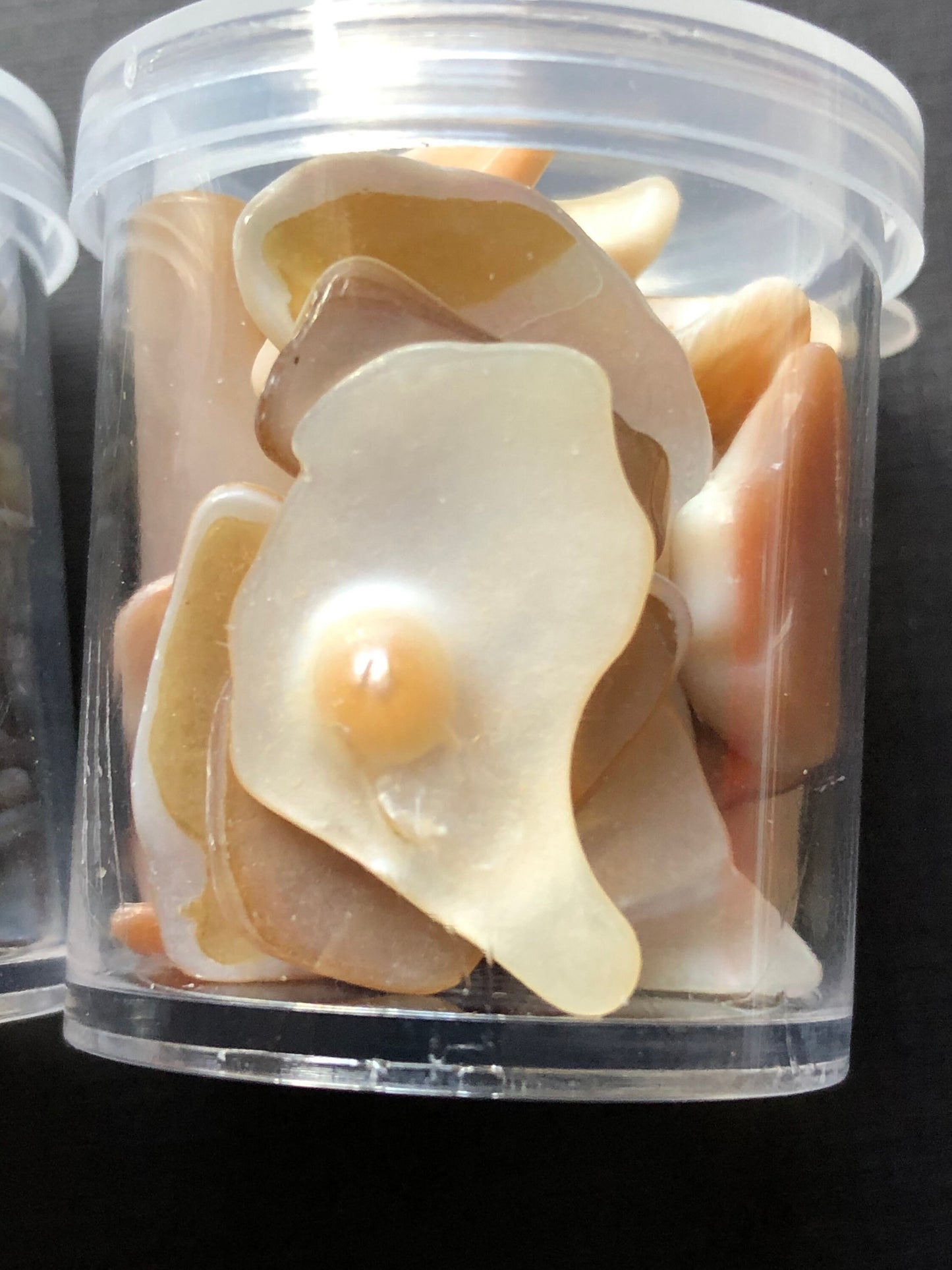 3 Jars Of Assorted Small Neutral Shade Seashells Shell Chips For Resin Clay Crafts