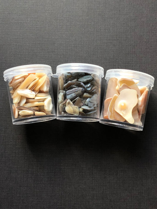 3 Jars Of Assorted Small Neutral Shade Seashells Shell Chips For Resin Clay Crafts