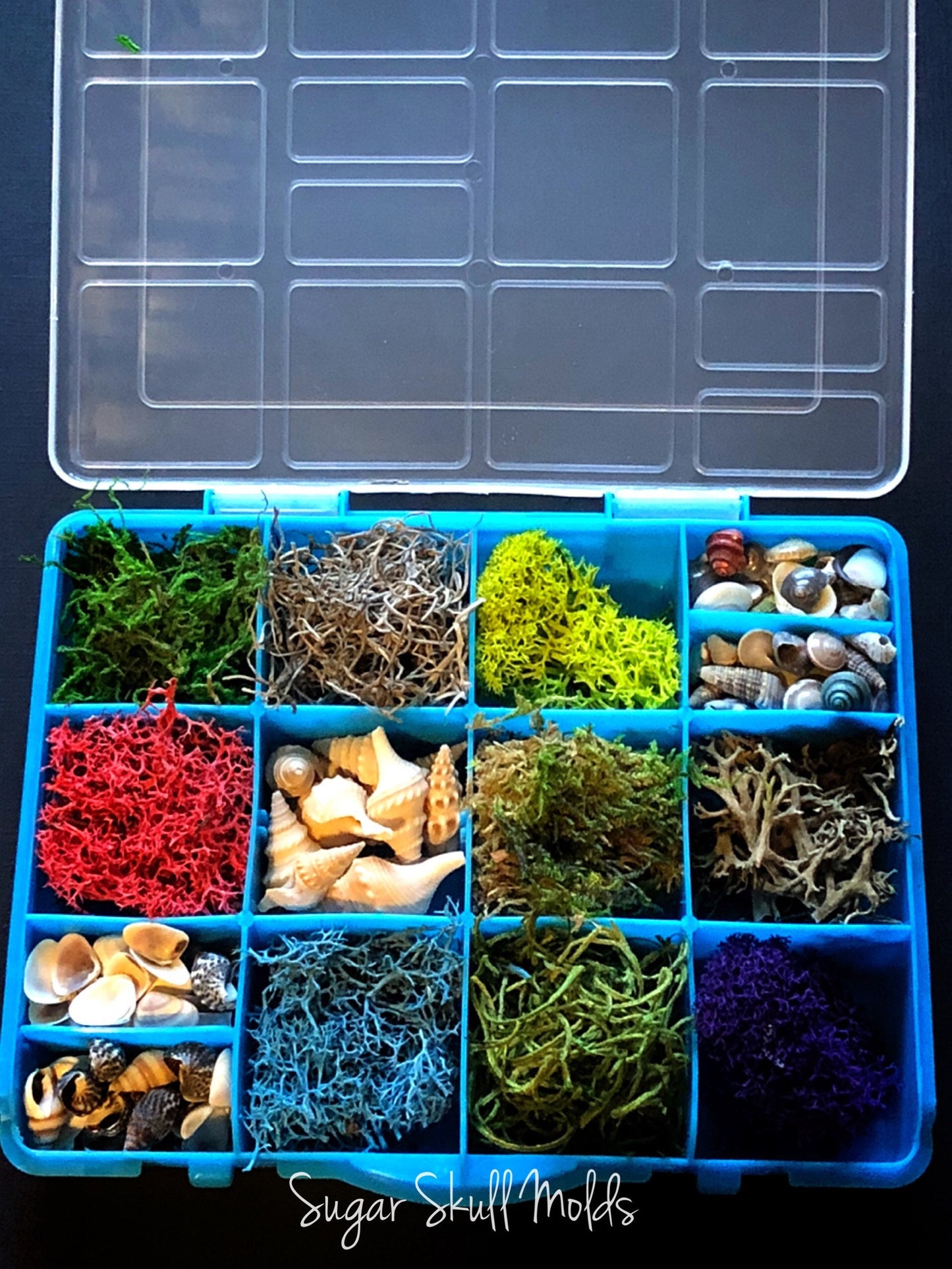 12 Compartment Box Of Under The Sea Shells Moss and Foliage For Crafts Resin Jewelry