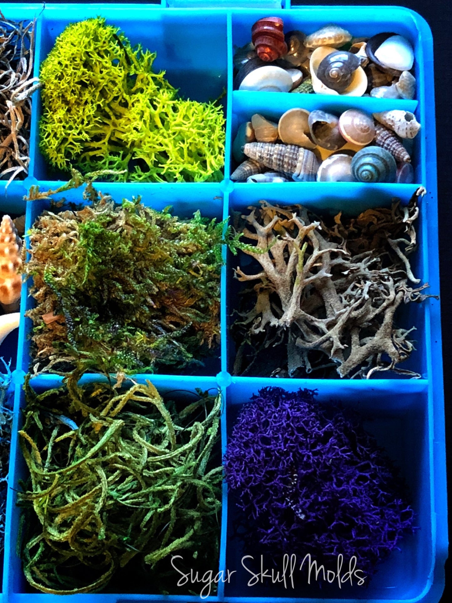 12 Compartment Box Of Under The Sea Shells Moss and Foliage For Crafts Resin Jewelry