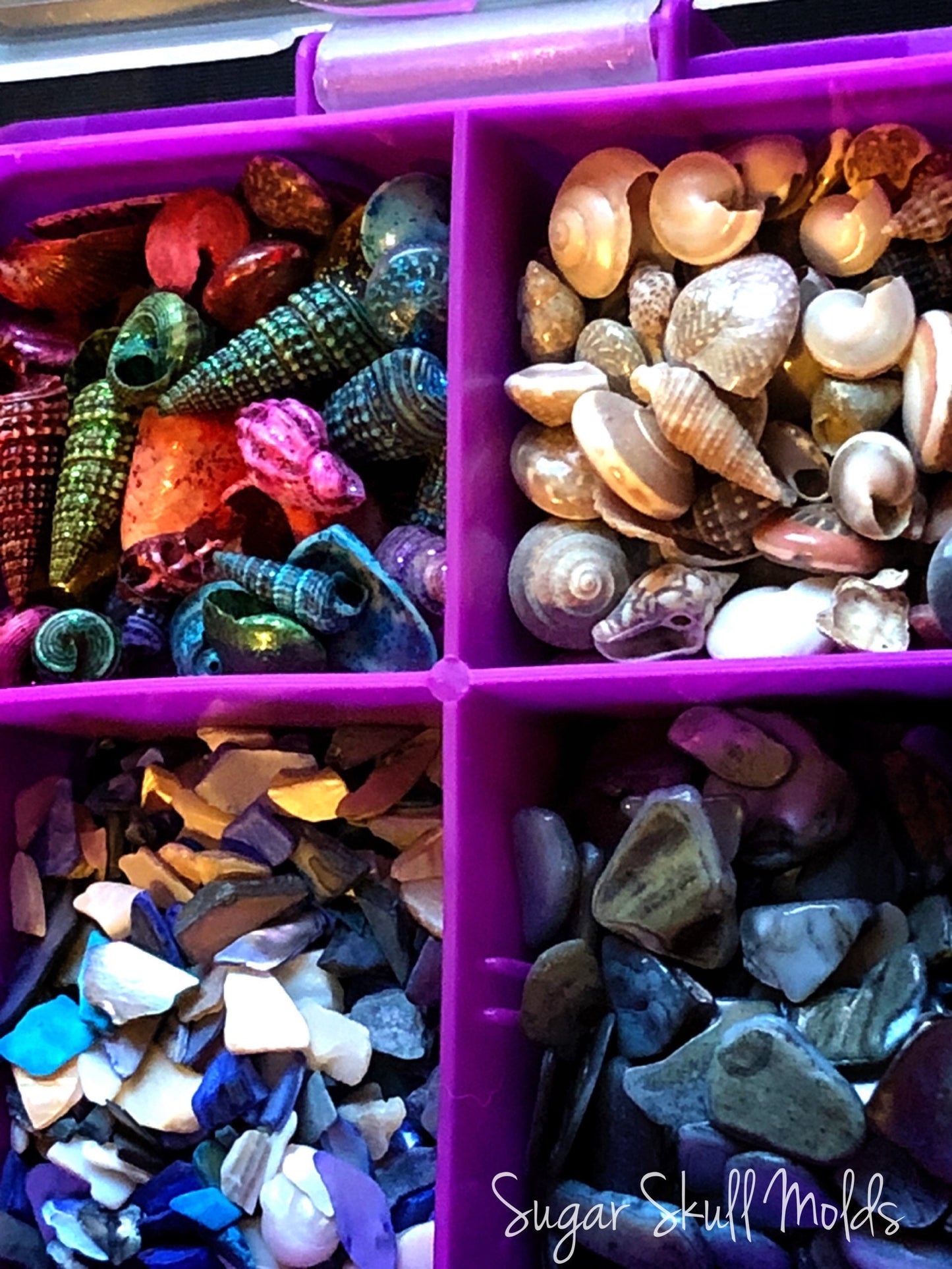 12 Compartment Box Of Dyed and Natural Sea Shells Crushed Shell Chips For Crafts Clay Resin Jewelry