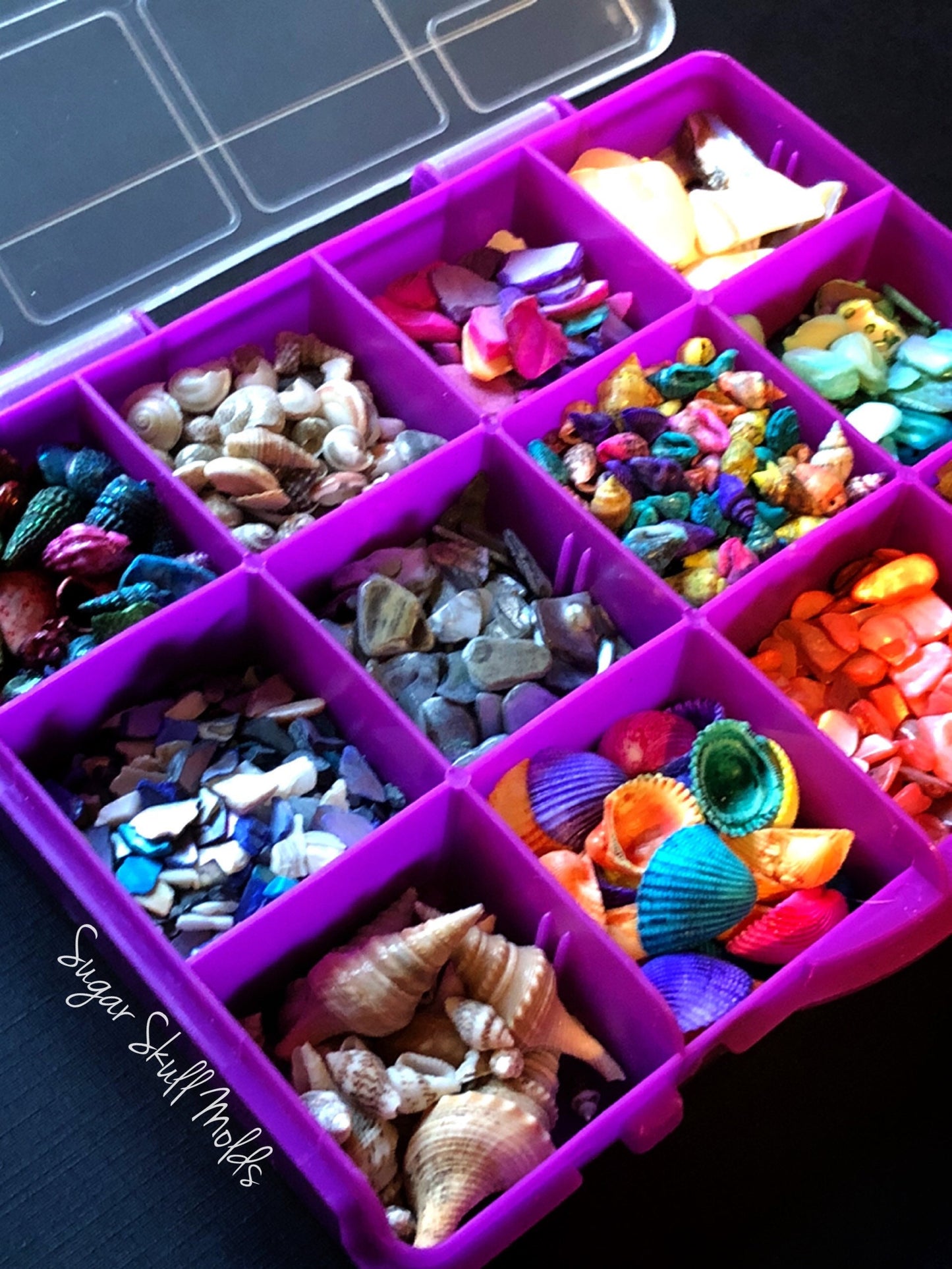 12 Compartment Box Of Dyed and Natural Sea Shells Crushed Shell Chips For Crafts Clay Resin Jewelry