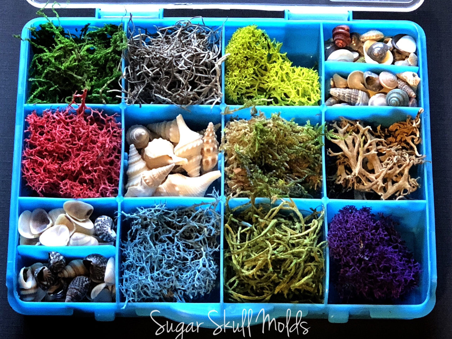 12 Compartment Box Of Under The Sea Shells Moss and Foliage For Crafts Resin Jewelry
