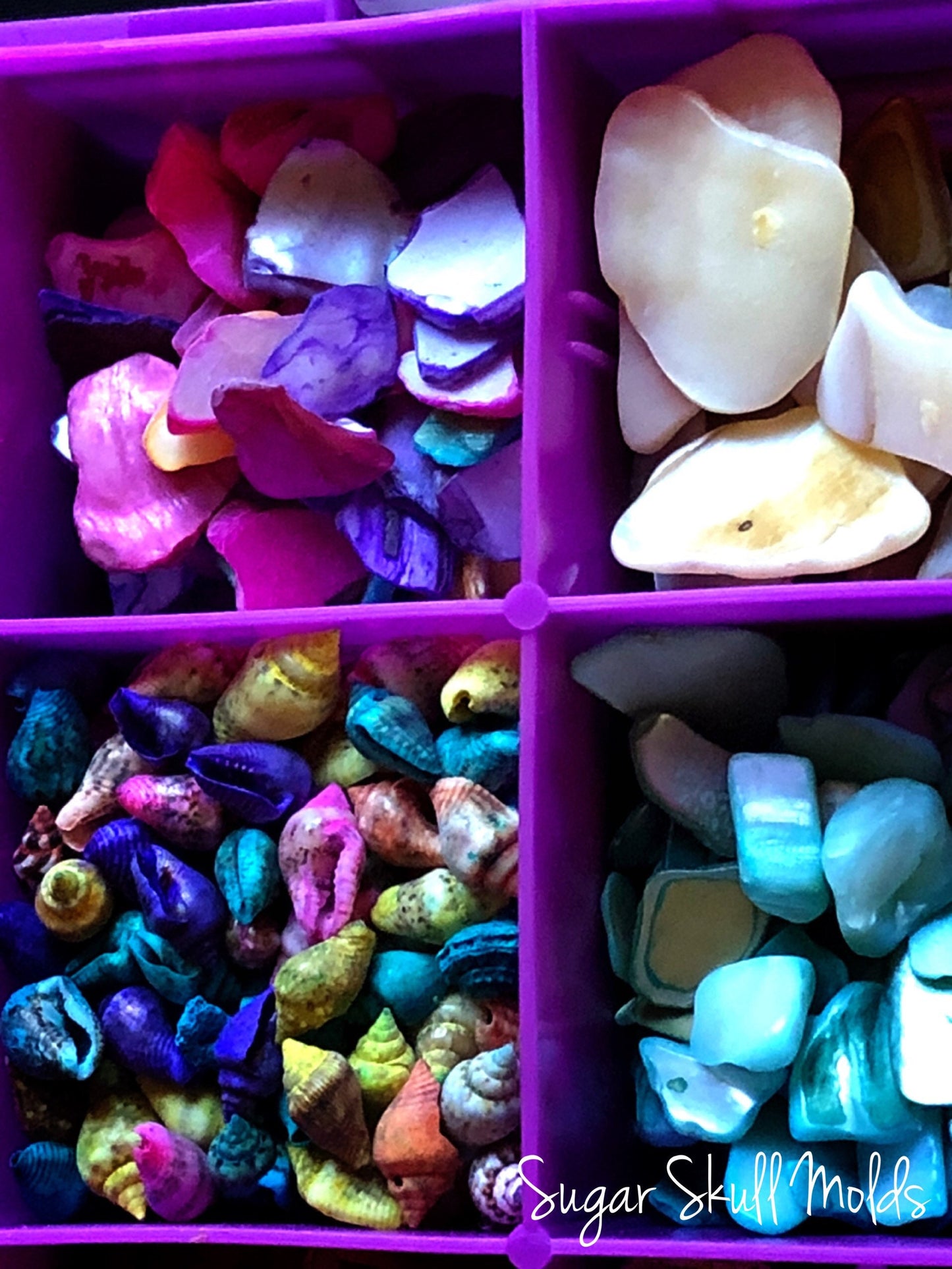 12 Compartment Box Of Dyed and Natural Sea Shells Crushed Shell Chips For Crafts Clay Resin Jewelry