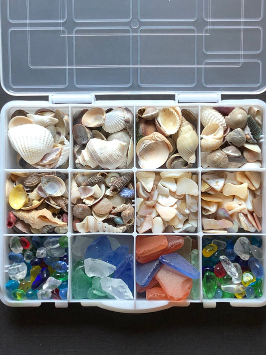 12 Compartment Box Of Natural Sea Shells Crushed Shell Chips Tumbled Beach Sea Glass For Crafts Resin Jewelry