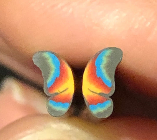 10 Colorful Butterfly Wing Polymer Clay Canes for Slices