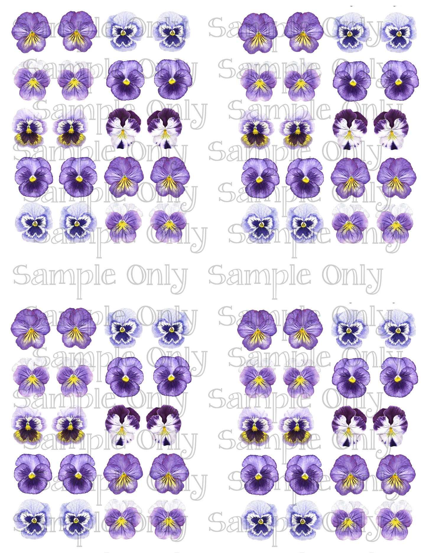 .75 Inch Pansy Flower Image Set 2 Transfer Sheet For Polymer Clay